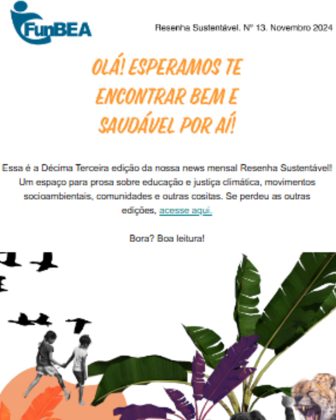 newsletter (miniatura)